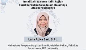 Mahasiswa IPB Terbakar Berikut Sejumlah Fakta Kejadiannya