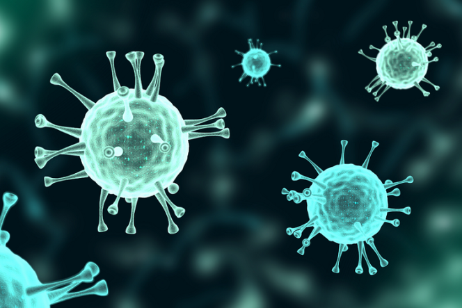 
 Mengenal Virus Eris dan Tingkat Bahayanya