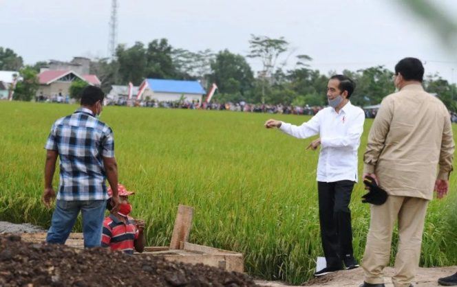 
					Kritik PDIP untuk program Food Estate Jokowi