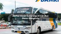 daftar kerja sekarang driver bus damri bengkulu 1751699070