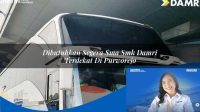 dibutuhkan segera sma smk damri terdekat di purworejo 1752729129