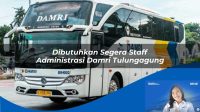 dibutuhkan segera staff administrasi damri tulungagung 1752118987