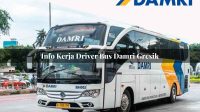 info kerja driver bus damri gresik 1751695829