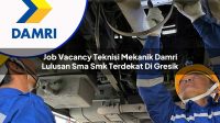 job vacancy teknisi mekanik damri lulusan sma smk terdekat di gresik 1753073525