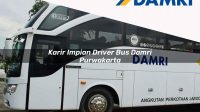 karir impian driver bus damri purwakarta 1751693408