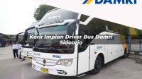 karir impian driver bus damri sidoarjo 1751695966
