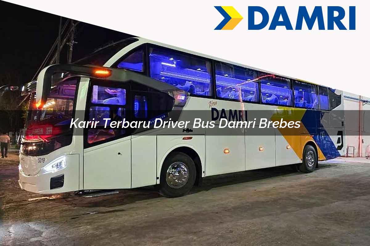karir terbaru driver bus damri brebes 1751699582