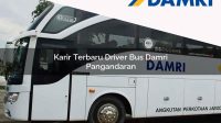 karir terbaru driver bus damri pangandaran 1751696532