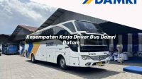 kesempatan kerja driver bus damri batam 1751696716