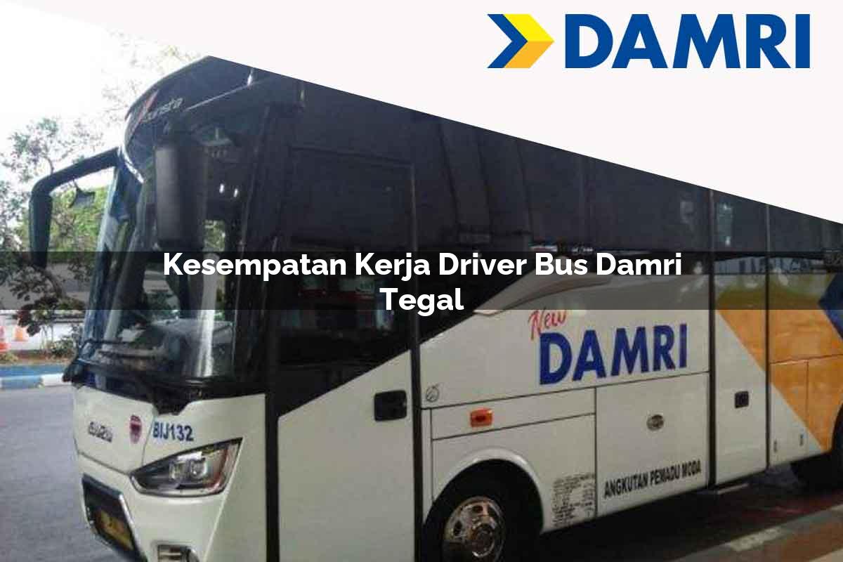 kesempatan kerja driver bus damri tegal 1751694064