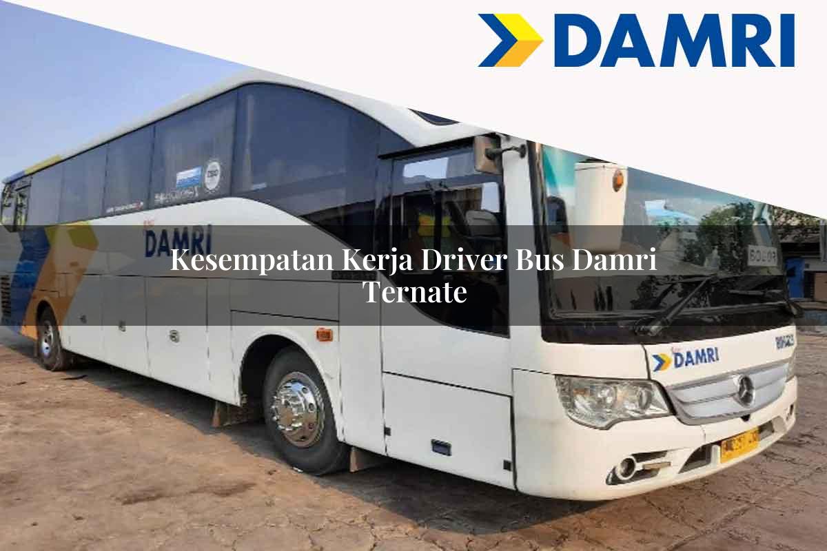 kesempatan kerja driver bus damri ternate 1751694121