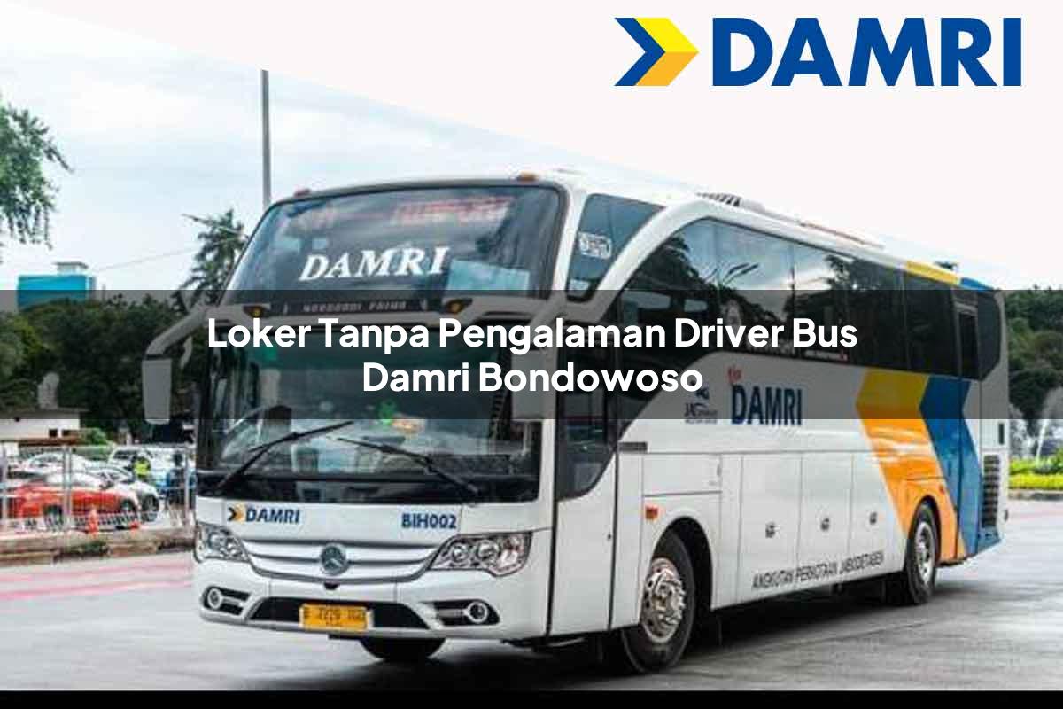 loker tanpa pengalaman driver bus damri bondowoso 1751698691