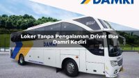 loker tanpa pengalaman driver bus damri kediri 1751693525