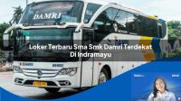 loker terbaru sma smk damri terdekat di indramayu 1752729661