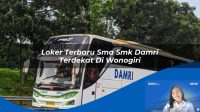loker terbaru sma smk damri terdekat di wonogiri 1752733740