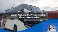 loker terbaru staff administrasi damri wonosobo 1752118896