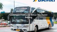 lowongan freelance driver bus damri batang 1751698187