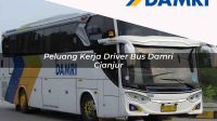peluang kerja driver bus damri cianjur 1751696824