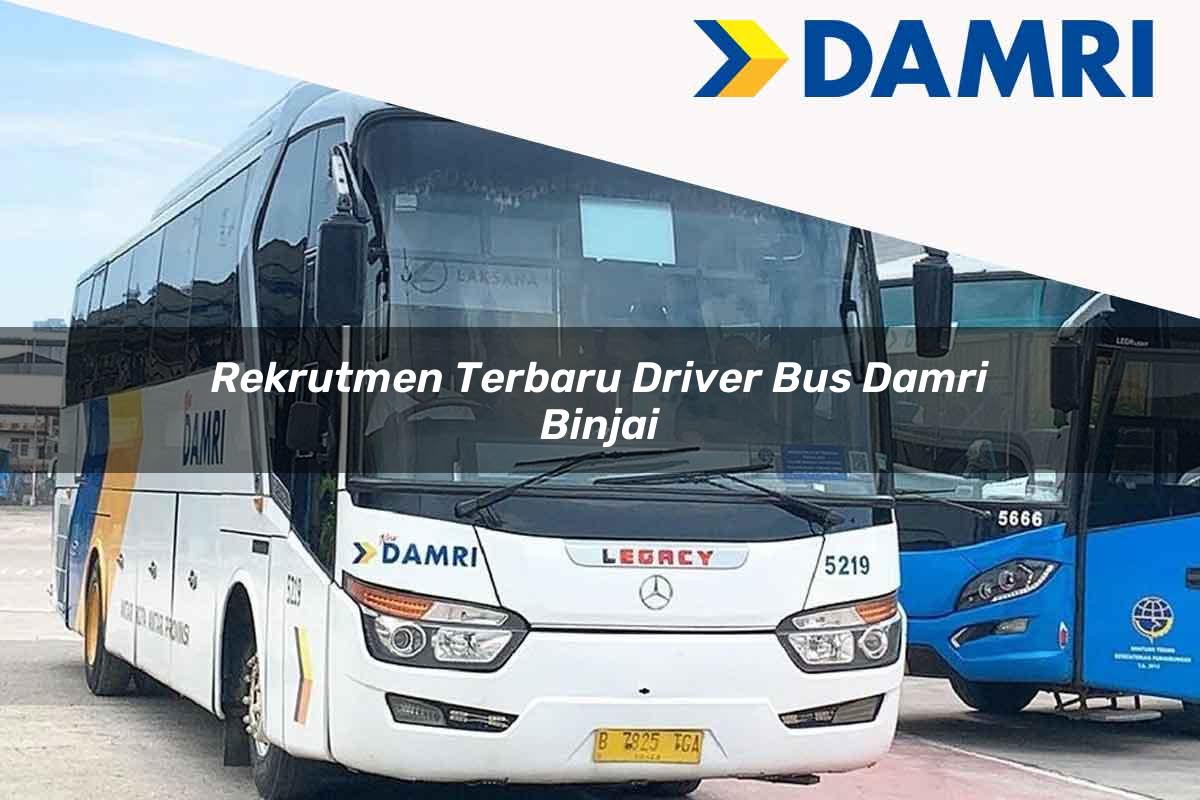 rekrutmen terbaru driver bus damri binjai 1751696763